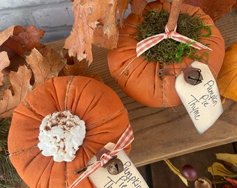 Pumpkin Pie Thyme, Small Pumpkin, Fall Decor, Thanksgiving, Pumpkins, Orange