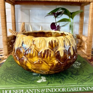 May include: A decorative, ceramic planter with a textured, artichoke-like design in shades of brown and yellow. The planter sits on a green book titled "Houseplants & Indoor Gardening". A wicker shelf with decorative items is in the background.