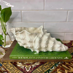 May include: A cream-colored, seashell-shaped ceramic planter. The planter sits atop two books, one green and one brown, with the titles "Houseplants & Indoor Gardening" and "The Wonderful World of Horses". A glass vase with green leaves is in the background.