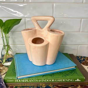 May include: A peach-colored ceramic organizer with a handle and multiple compartments. The organizer is sitting on top of a stack of books, including a blue book and a green book titled "Houseplants & Indoor Gardening".