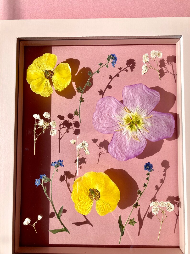 Pressed Flower Frame 8 X 10 Herbarium Etsy