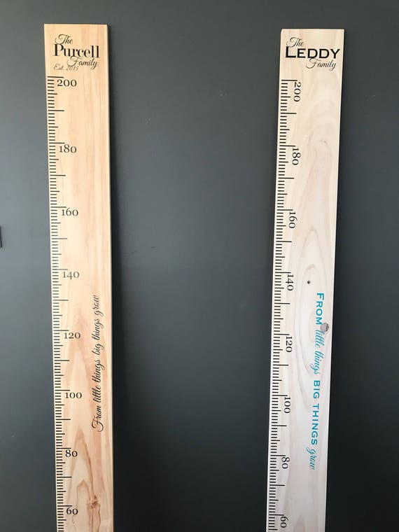 DIY Ruler Growth Chart Custom Vinyl Decal Kit, side text from little things  big things grow