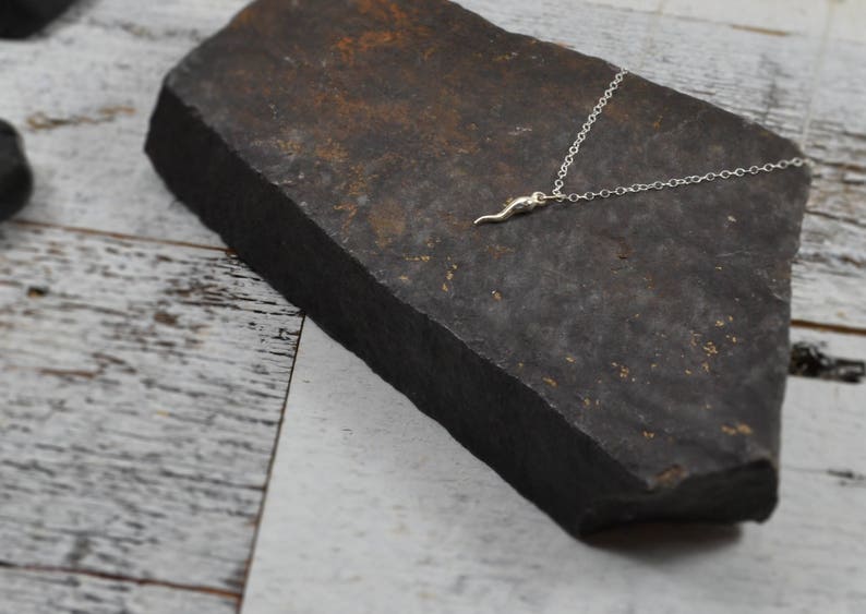 Tiny Italian Horn Necklace Sterling Silver Horn Dainty Horn Etsy