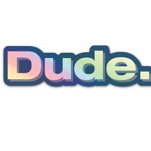 STICKER - Dude hologram sticker - Waterproof - Die-cut sticker  - Funny Snarky Vinyl Decal - water bottle sticker