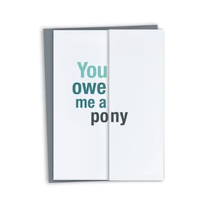 You Owe Me a Pony / Funny Mother&#39;s Day - Father&#39;s Day / Funny Birthday card for mom or dad / Unique Gift For Mom Or Dad / Steak Pack