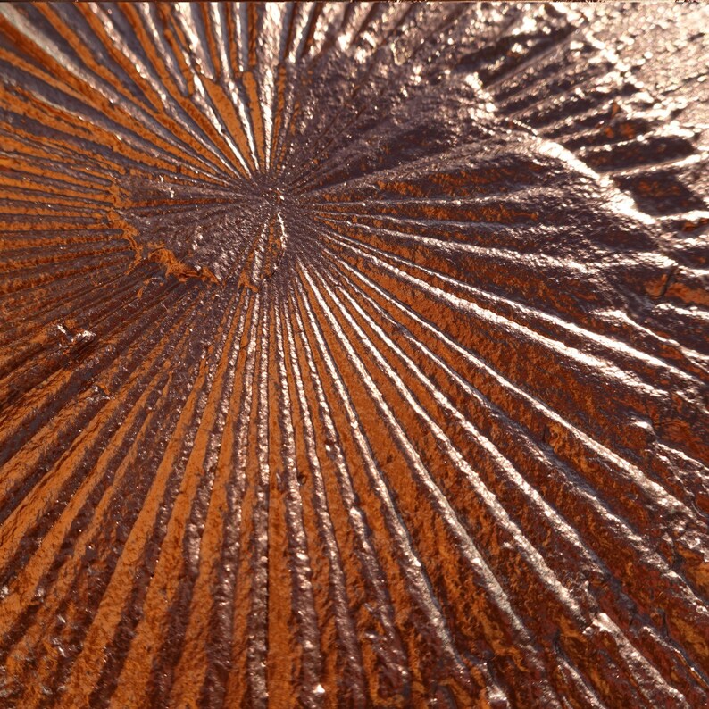 a close-up view of a textured surface with a radial pattern, resembling the appearance of a sunflower or a fan. The surface appears to be made of a material that has a metallic or metallic-like texture, giving it a shiny and reflective appearance.