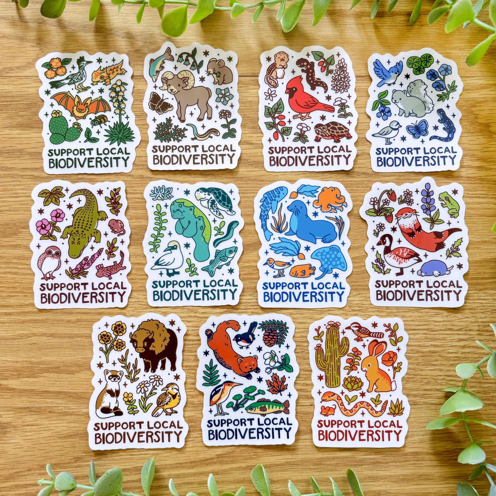Support Local Biodiversity Clear Vinyl Stickers | Appalchia, Midwest, Northeast, Great Plains, Southwest, Pacific Northwest