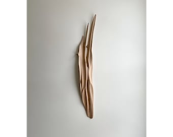 Fork Channel Series, 2 - Driftwood Wall Art - Natural Home Decor - Wabi Sabi