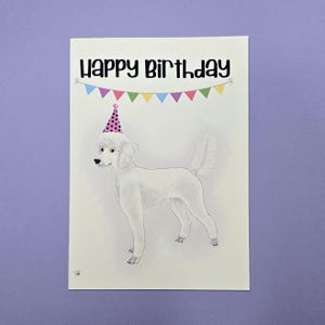 White Poodle Happy Birthday Card, Hand drawn, White coat, 5x7 Greeting Card 219B
