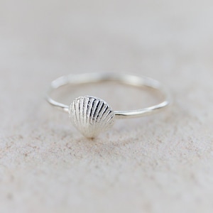May include: A silver ring featuring a seashell design. The ring is simple and delicate, ideal for everyday wear.