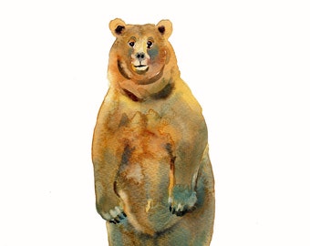 Bear,  Bear Painting, Watercolor Painting,  Bear Print