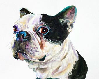 Custom pet portrait, pet portrait, , dog portrait, pet art, dog art, Boston terrier