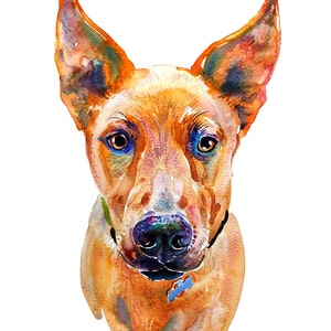 Custom Pet Portrait, Painting, Watercolor, Pet Portrait, Original Painting, Watercolor Painting Gift Art Dog Portrait image 1