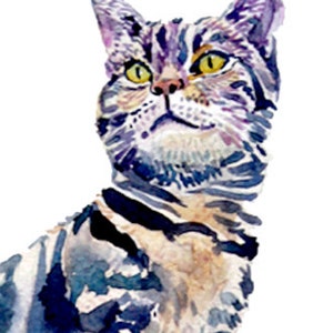 May include: Watercolor painting of a tabby cat with purple, blue, and yellow markings. The cat is looking up and to the right.