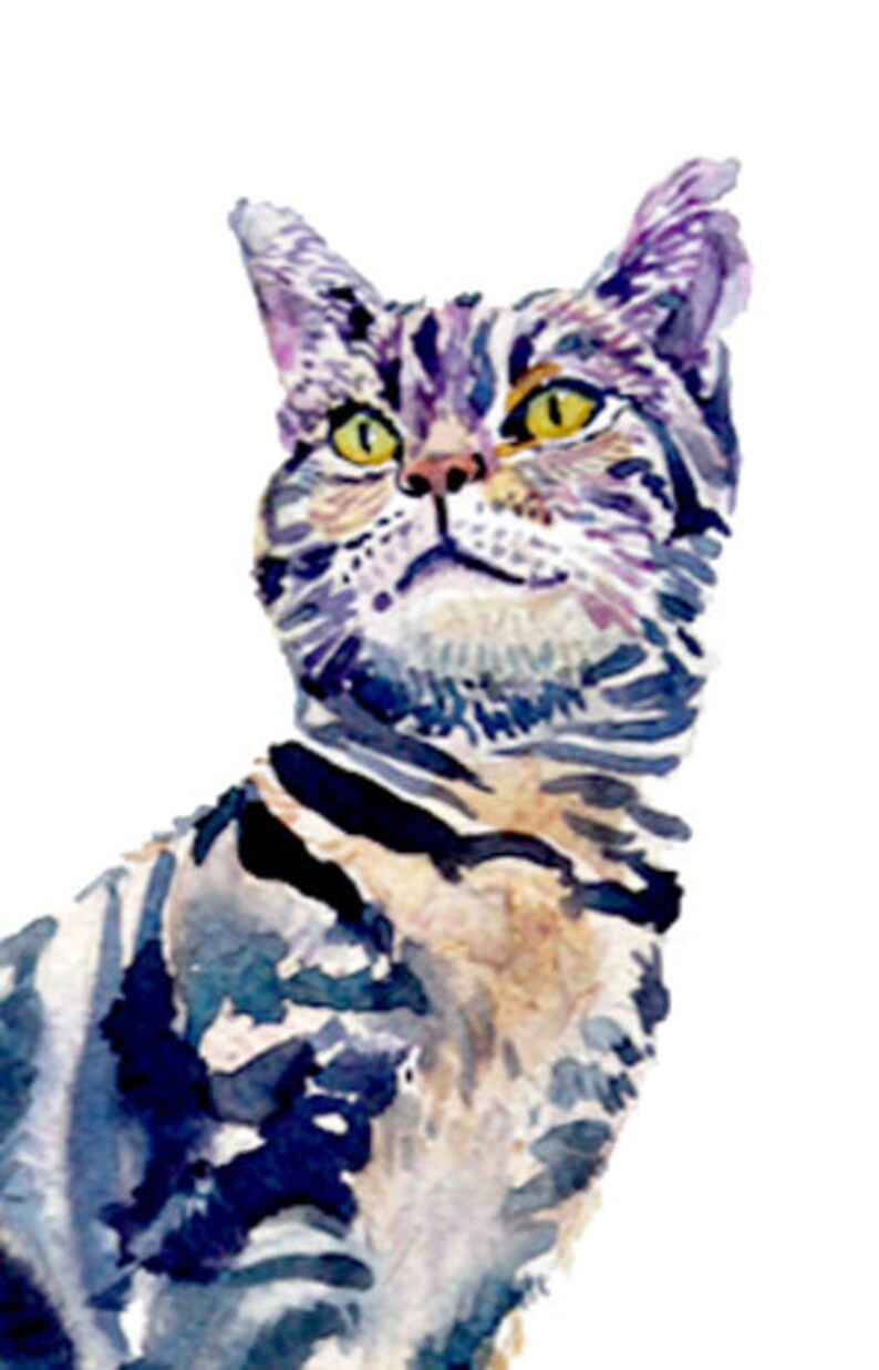 May include: Watercolor painting of a tabby cat with purple, blue, and yellow markings. The cat is looking up and to the right.