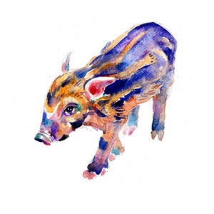 Red River Hog baby  - Animal Painting - Size 8x10in - Original Watercolor  Art- Nursery Art Print