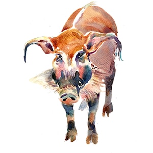 Red River Hog 1 - Animal Painting - Size 8x10in - Original Watercolor  Art- Nursery Art Print