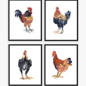 Chicken Collection 1 -  Home and Living - Animal Paintings  - 4 x 8x10inch  - Watercolor  Paintings - Nursery Art Prints