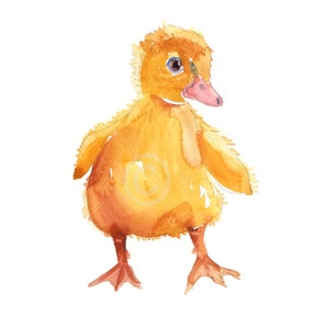 Duckling - Baby Duck   - Watercolor painting -  Animal Art - size  8x10inches  - Watercolor  Art- Nursery Art Print