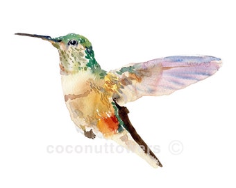 Hummingbird - Large Size - Watercolor Painting - Art Print - Nursery Art
