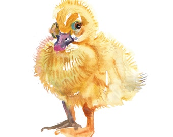 Duckling 2 - Baby Duck 2 - Aquarel schilderij - Animal Art - grootte 8x10inches - Aquarel Art- Nursery Art Print