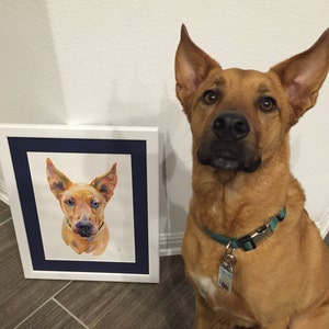 Custom Pet Portrait, Painting, Watercolor, Pet Portrait, Original Painting, Watercolor Painting Gift Art Dog Portrait image 3