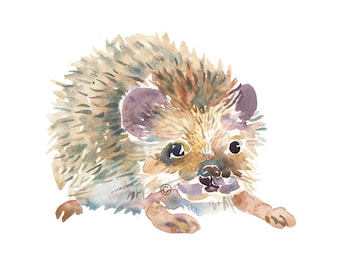 Hedgehog, Watercolor Painting, Childrens Art - Animal Painting, Nursery Art Print