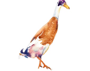 Runner Duck,Childrens Art,Watercolor Art,Nursery Art Print