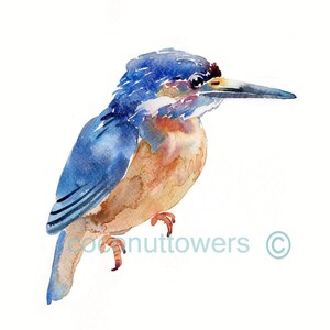 Martin-pêcheur Animal peinture aquarelle, peinture aquarelle oiseau Art Animal Print