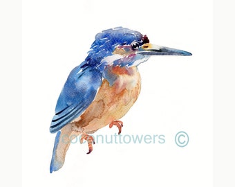 Kingfisher Animal Painting Watercolor Painting Watercolor  Bird Art  Animal Print