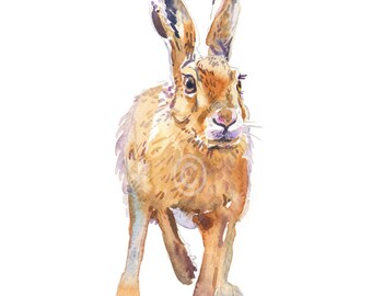 Haas 3 - grootte 8x10in - aquarel schilderij - dier Art Print