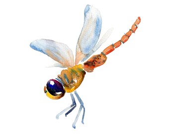 Childrens Art - Size8x10in  - Watercolor Painting - Animal Art Print -  Dragon Fly