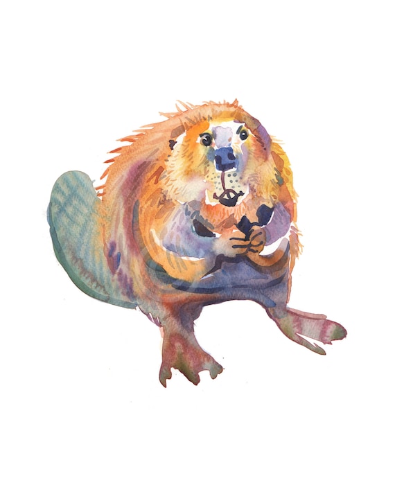 ビーバーの動物 水彩画 【公式通販】