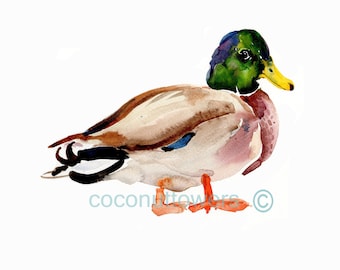 Duck Art -  Duck 2 -  Size 8x10in - Watercolor  Art- Nursery Art Print