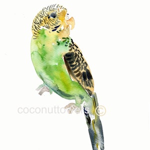Customized  Pet - Animal  Art -11x14 - Watercolor  Painting - Birds