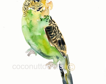 Customized  Pet - Animal  Art -11x14 - Watercolor  Painting - Birds