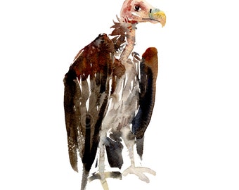 Kinderkunst - aquarelverf - 8 x 10 inch - dierenkunstdruk - V for Vulture