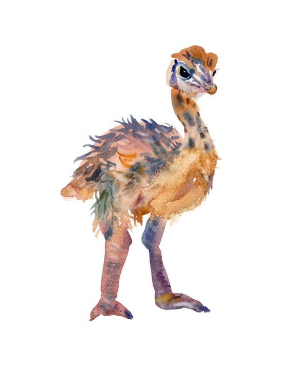 Children's Art  - Watercolor Painting - 8x10 inches - Animal Print - Bird  Art - Baby Emu