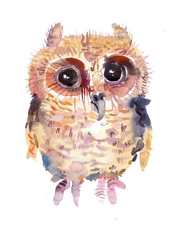 Baby Owl Size8x10in Watercolor Art Nursery Art Print Etsy