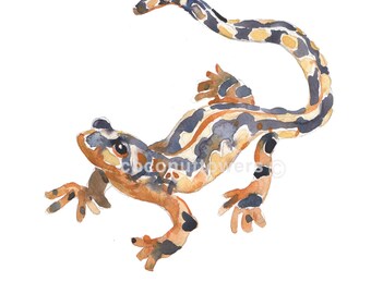 Animal Painting - Size 8x 10in -  Watercolor Painting - Nursery Art Print-  Newt