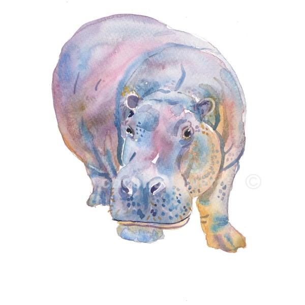 Hippo  - Animal Paintings - size 8x10inches - Watercolor  Painting- Nursery Art Print