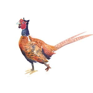 Pheasant -  Bird painting - Watercolor Painting - 8x10inches - Animal painting -  Watercolor  Print