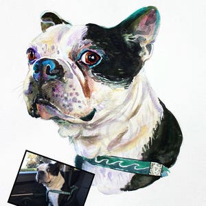 Custom pet portrait, pet portrait, , dog portrait, pet art, dog art, Boston terrier image 2