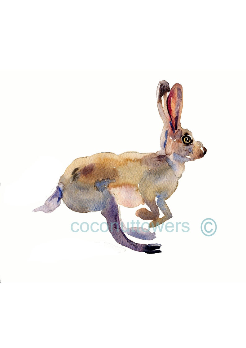 Children's Art Watercolor Hare Size 8x10 Nursery Art Print image 1