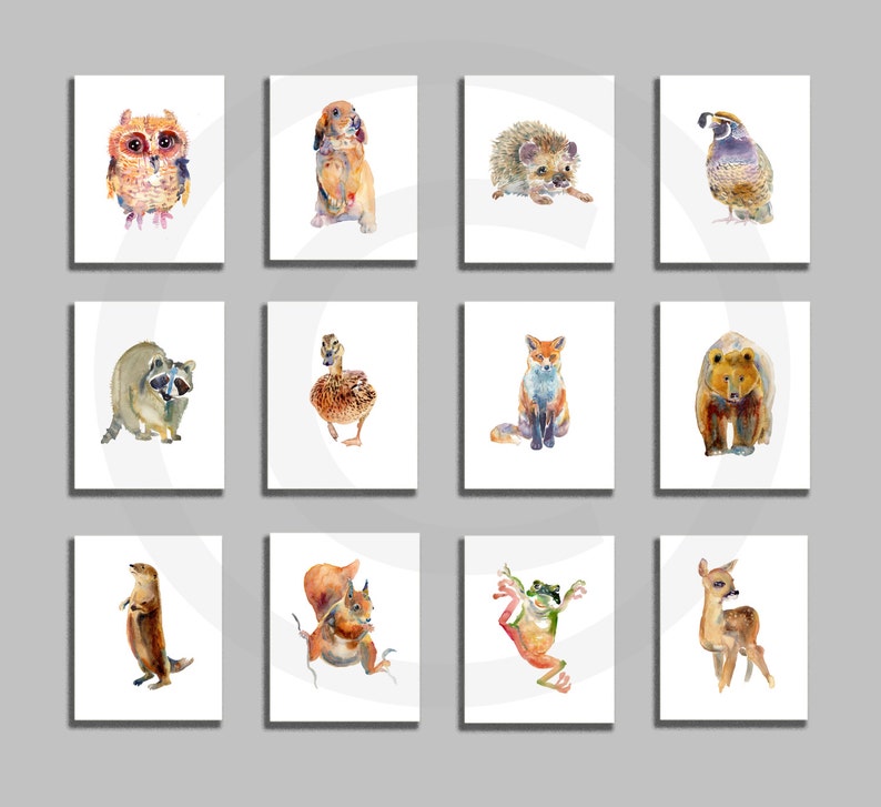 Woodland Animal Watercolor Painting, Set of 12 Animals,Art Prints,Nursery Room Decor image 1