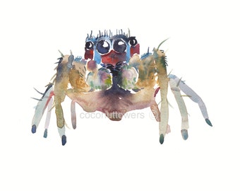 Childrens Art - 10 x 8 inchs - aquarel schilderij - dier Art Print - Wolf Spider