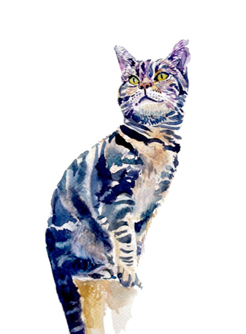 May include: Watercolor painting of a tabby cat with purple and blue stripes. The cat is sitting with its head tilted up and looking to the side. The background is white.