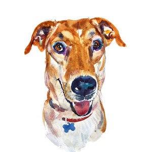 Custom Pet Portrait, Pet Portrait,  Original Art, 11x14inches,Watercolor Painting,Gift Art,Dogs, Lurcher
