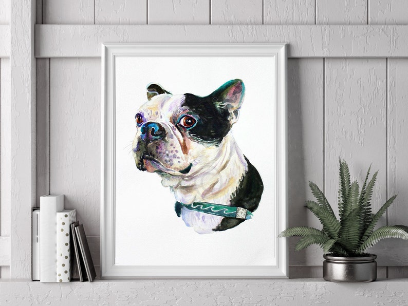 Custom pet portrait, pet portrait, , dog portrait, pet art, dog art, Boston terrier image 5