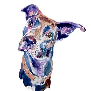 Custom Pet Portrait -  Pet  Portrait  -  Original Watercolor Painting -  Dog Painting -  pet lover painting handmade wall art gift